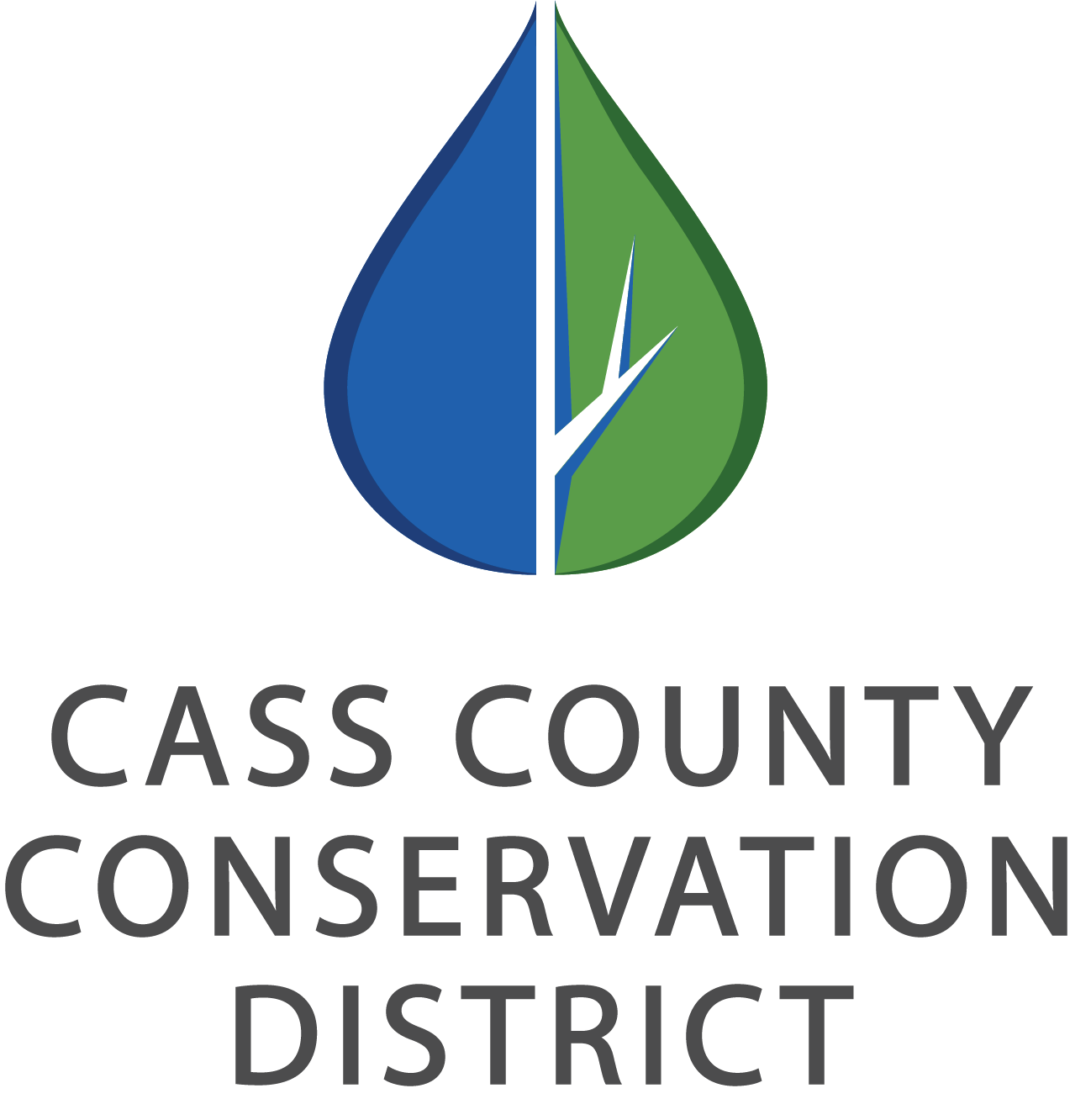 CASS CCD – Color Logo Stacked (2021) | Cass County Michigan ...